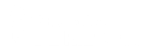 Gerencia de Riesgos, inicio